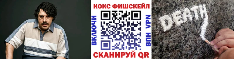 купить закладку  Вяземский  Cocaine Fish Scale 