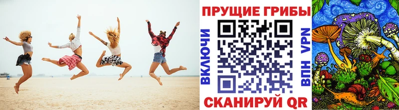Псилоцибиновые грибы мицелий  Вяземский 
